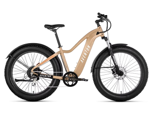 ebike rental, electric bike rental, ebike rentals