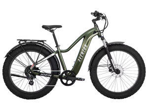 ebike rental, electric bike rental, ebike rentals