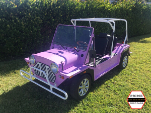 affordable golf cart rental, golf cart rent fort lauderdale beach, cart rental fort lauderdale beach