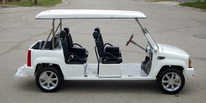 affordable golf cart rental, golf cart rent fort lauderdale beach, cart rental fort lauderdale beach