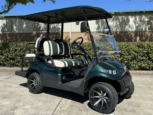 fort lauderdale beach golf cart, golf cart rentals, golf cars for rent