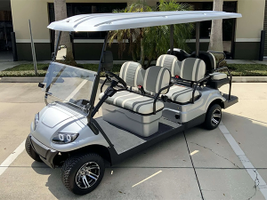 fort lauderdale beach golf cart, golf cart rentals, golf cars for rent