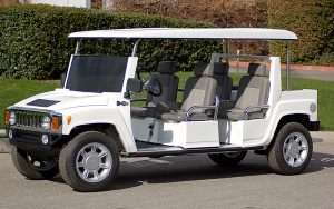 affordable golf cart rental, golf cart rent fort lauderdale beach, cart rental fort lauderdale beach
